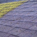 Roof-Cleaning-Before-After