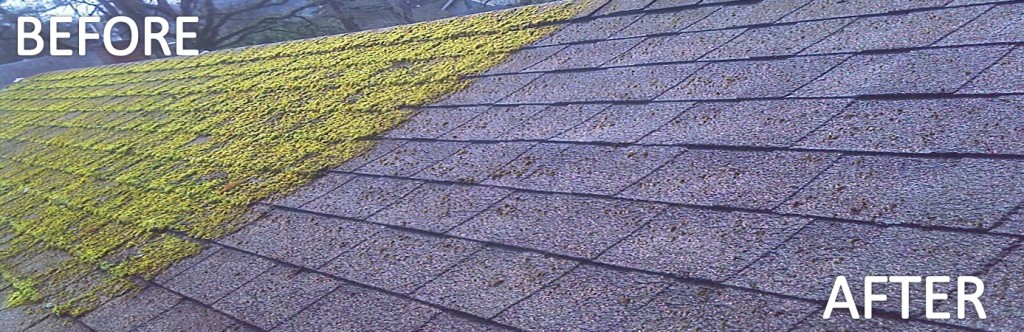 Roof-Cleaning-Before-After