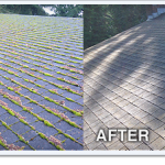 Roof-cleaning-in-gig-harbor