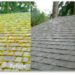 before-after-mossy-composition-roof