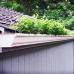Gutter Repair