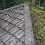 roof-cleaning