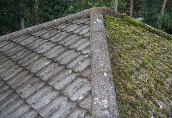 Clean425 Roof Cleaning Service Near Woodinville Wa