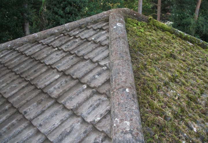 Roof Cleaning in Woodhaven VA