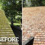 roof-moss-removal-before-after