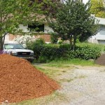 yard2-piles