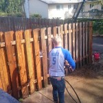 8dac7b80-8728-48be-a521-daa3b037580a