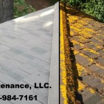 Portland-Gutter-and-Roof-Cleaning – Copy