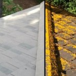 Portland-Gutter-and-Roof-Cleaning – Copy – Copy