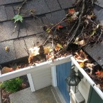 clogged-gutter